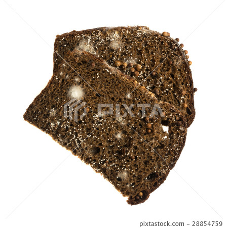 Mold on Black Bread Isolated Mold on Black Bread Isolated 28854759