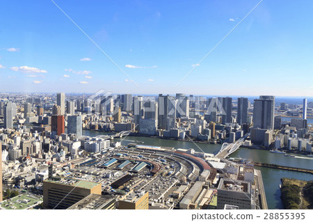 Tsukiji seen from Shiodome 28855395