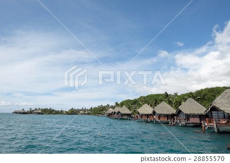 Landscape of Tahiti 28855570
