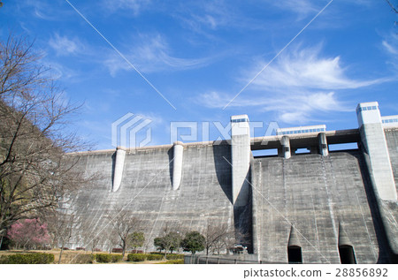 Plum and dam 28856892