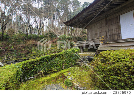 Three thousand in the winter 28856970