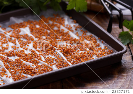 Cress salad seeds 28857171