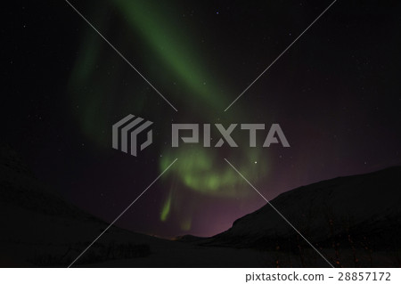 Northern Lights near Tromso, Norway 28857172