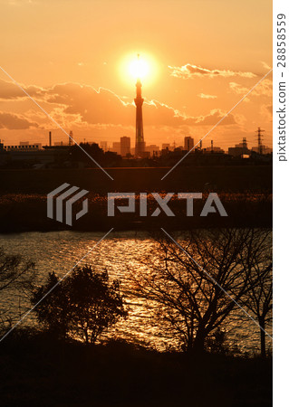 Sky tree and sunset Sky tree and sunset 28858559