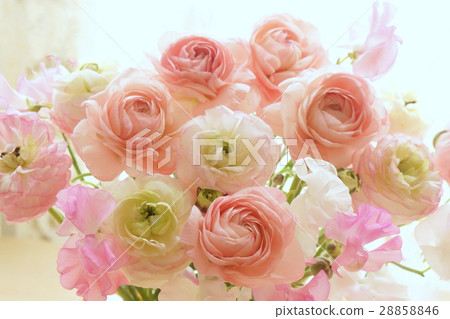 Ranunculus and sweet pea Ranunculus and sweet pea 28858846