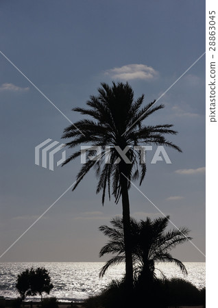 Mediterranean Coast Israel 28863045