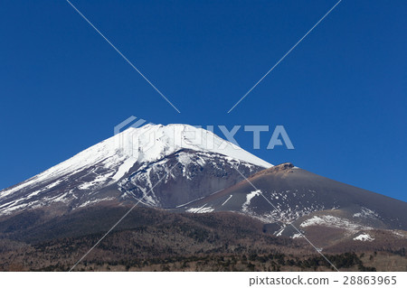 Shizuoka _ Houyanaga crater opening Mt. Fuji 28863965