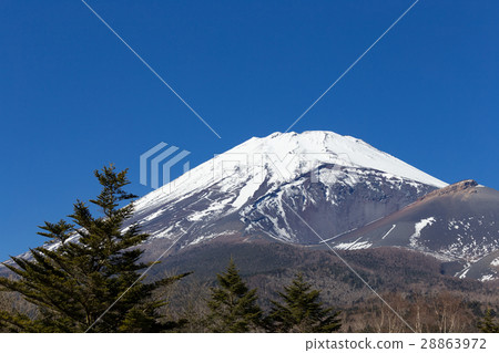 Shizuoka _ Houyanaga火山口開放富士山 28863972
