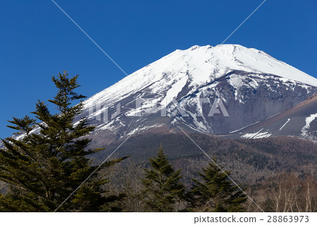 Shizuoka _ Houyanaga火山口開放富士山 28863973