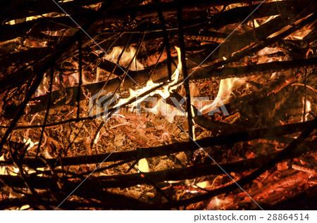 Open flames burning dead branches and weeds 28864514