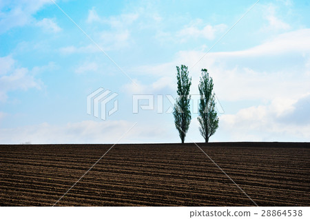 早春山 早春山 28864538