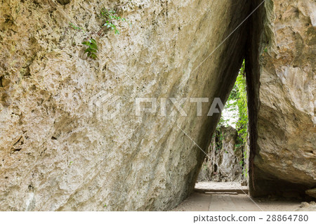 [High image quality] Okinawa _ Seiba Utaki 28864780