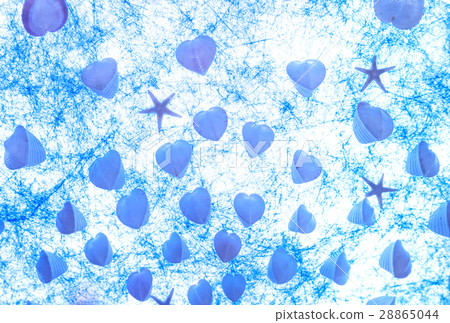 Heart shell Sea image Tropical image Texture Image material 28865044