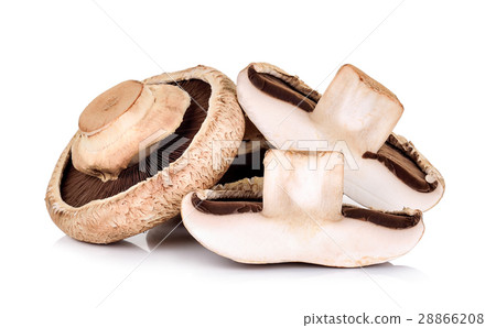 Portobello mushroom isolated on white background 28866208
