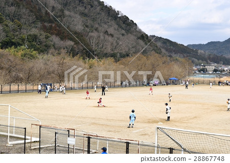 Juvenile baseball Juvenile baseball 28867748