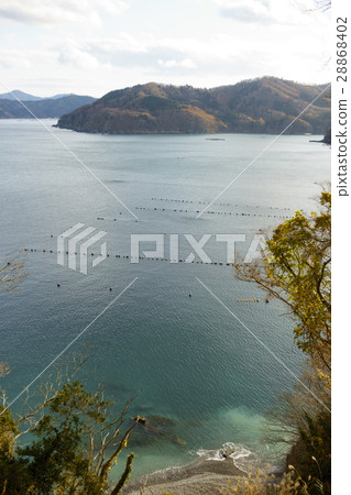 稻川灣，日本海藻養殖漁業的搖籃，山脈接近海岸線 28868402