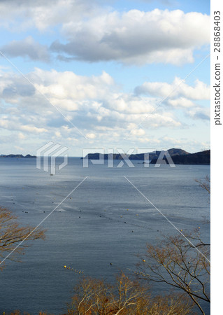 Onagawa bay, the cradle of seaweed cultivation fishery in Japan, the mountains approaching the coastline Onagawa bay, the cradle of seaweed cultivation fishery in Japan, the mountains approaching the coastline 28868403