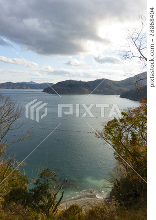 稻川灣,日本海藻養殖漁業的搖籃,山脈接近海岸線 稻川灣,日本海藻養殖漁業的搖籃,山脈接近海岸線 28868404