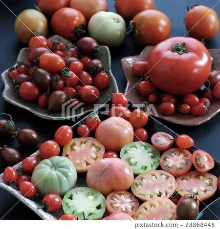 Collect of tomatoes, cheap food anticancer Collect of tomatoes, cheap food anticancer 28868448