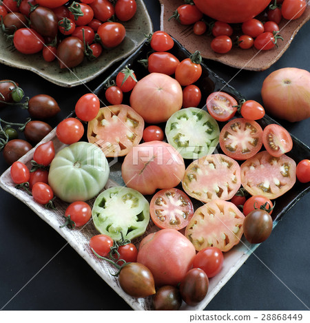 Collect of tomatoes, cheap food anticancer Collect of tomatoes, cheap food anticancer 28868449