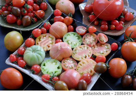 Collect of tomatoes, cheap food anticancer Collect of tomatoes, cheap food anticancer 28868454