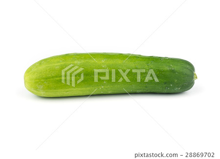fresh Cucumber vegetable. fresh Cucumber vegetable. 28869702