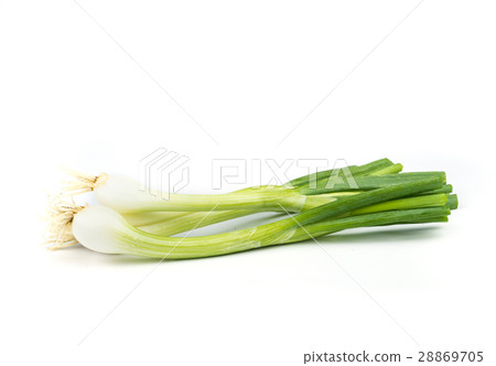 onions leaf vegetable. onions leaf vegetable. 28869705