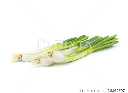 onions leaf vegetable. onions leaf vegetable. 28869707