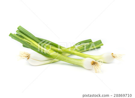 onions leaf vegetable. onions leaf vegetable. 28869710