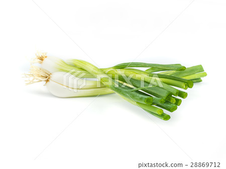 onions  leaf  vegetable. 28869712