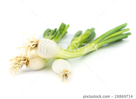 onions leaf vegetable. onions leaf vegetable. 28869714