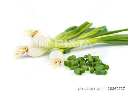 onions leaf vegetable. onions leaf vegetable. 28869717