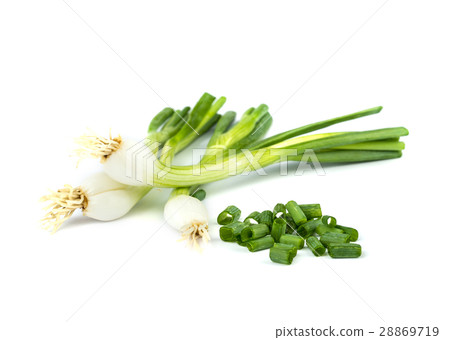 onions  leaf  vegetable. 28869719