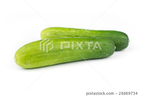 fresh Cucumber vegetable. fresh Cucumber vegetable. 28869734