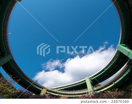 Kawazu Sakura and Kawazu Nanaki Loop Bridge Kawazu Sakura and Kawazu Nanaki Loop Bridge 28870160