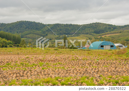 Scenery with Hokkaido field Scenery with Hokkaido field 28870322