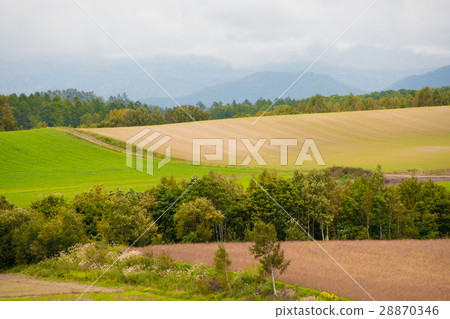 Scenery with Hokkaido field Scenery with Hokkaido field 28870346
