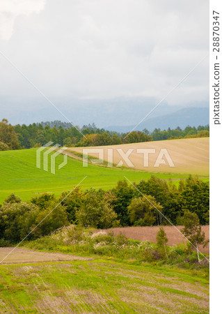 與北海道領域的風景 與北海道領域的風景 28870347