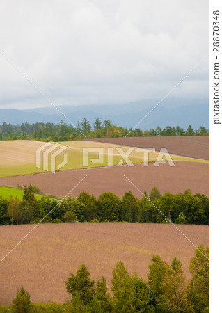 與北海道領域的風景 與北海道領域的風景 28870348
