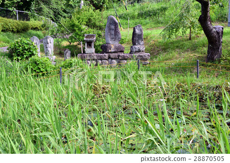 Shijiri shi Nishijyojyo Otake shrine lands in the legendary Jinpa Pond Shijiri shi Nishijyojyo Otake shrine lands in the legendary Jinpa Pond 28870505