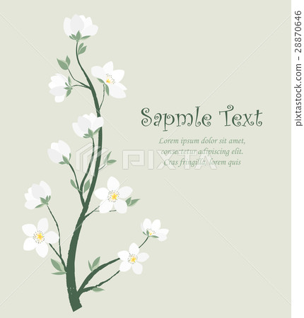 Vector spring blossom 28870646