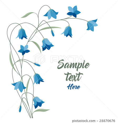 Summer flower campanula Summer flower campanula 28870676