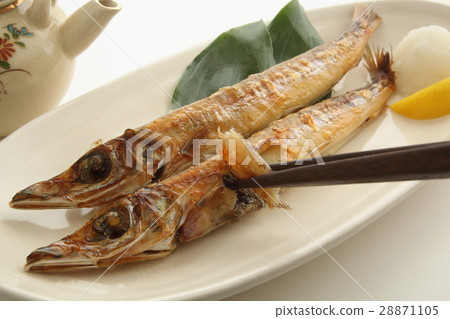 乾魚親吻乾魚扇貝 28871105