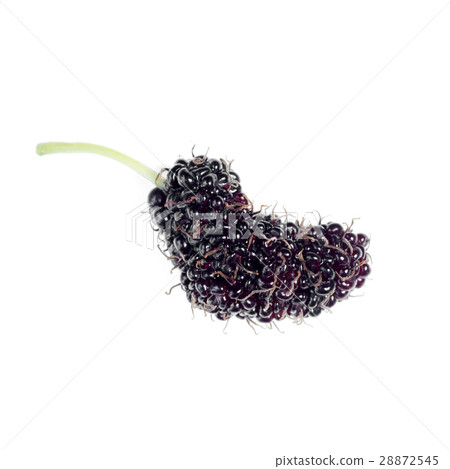 Black mulberries on a white background. 28872545