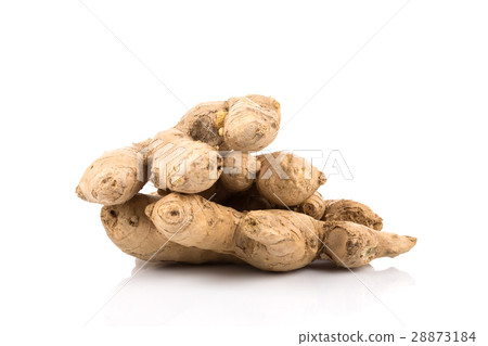 fresh ginger on white background fresh ginger on white background 28873184
