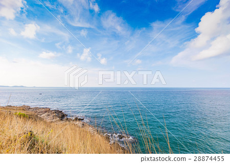 Beautiful seascape with rocks and meadow Beautiful seascape with rocks and meadow 28874455