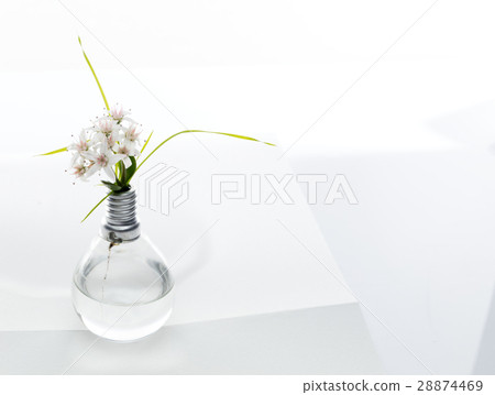 renewable energy 28874469