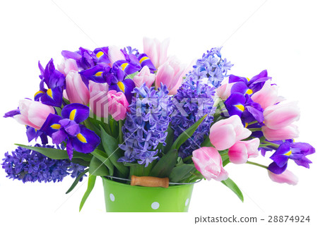 hyacinths and tulips hyacinths and tulips 28874924