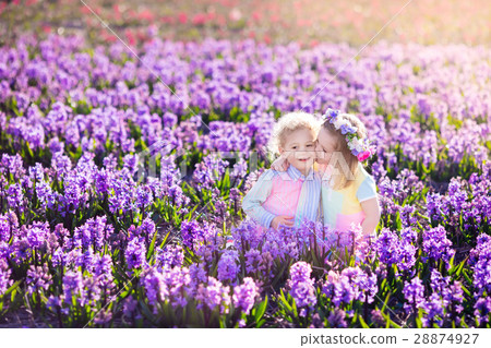 Kids in blooming garden with hyacinth flowers Kids in blooming garden with hyacinth flowers 28874927