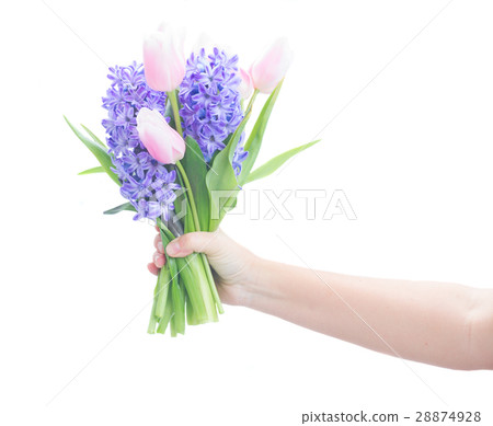 hyacinths and tulips 28874928